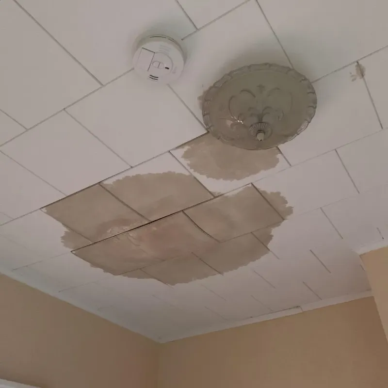Ceiling Water Damage Repair in Reagan County, TX