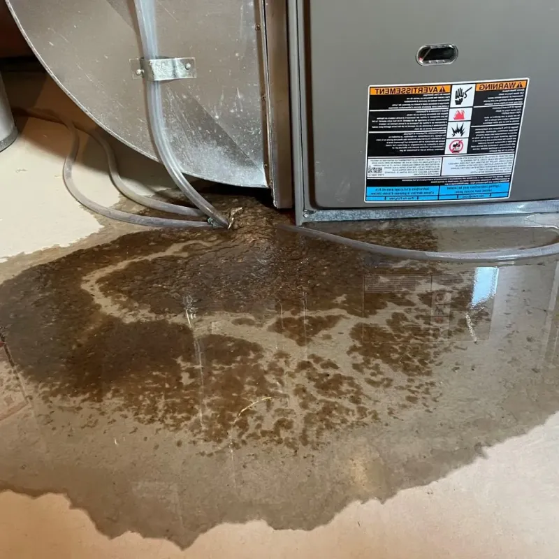 Pipe Burst and Leak Restoration in Reagan County, TX