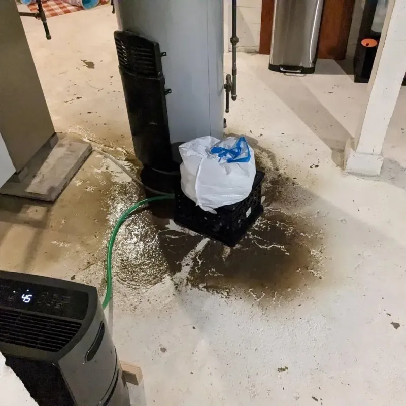 Sewage Backup Cleanup Service in Reagan County, TX